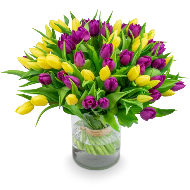 Bouquet of tulips